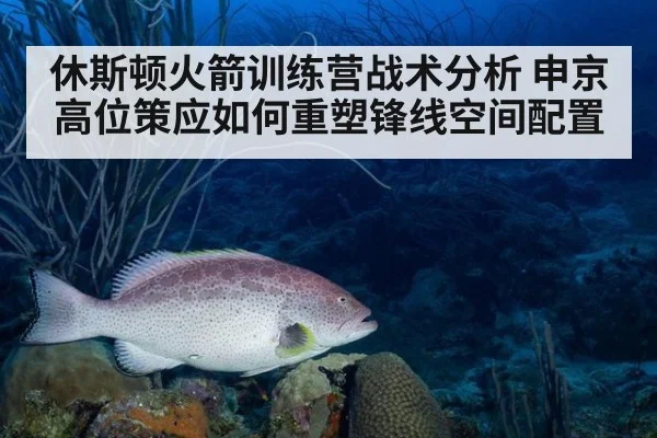 休斯顿火箭训练营战术分析 申京高位策应如何重塑锋线空间配置