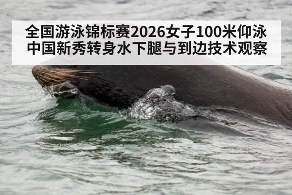 全国游泳锦标赛2026女子100米仰泳中国新秀转身水下腿与到边技术观察