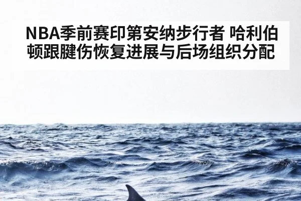 NBA季前赛印第安纳步行者 哈利伯顿跟腱伤恢复进展与后场组织分配